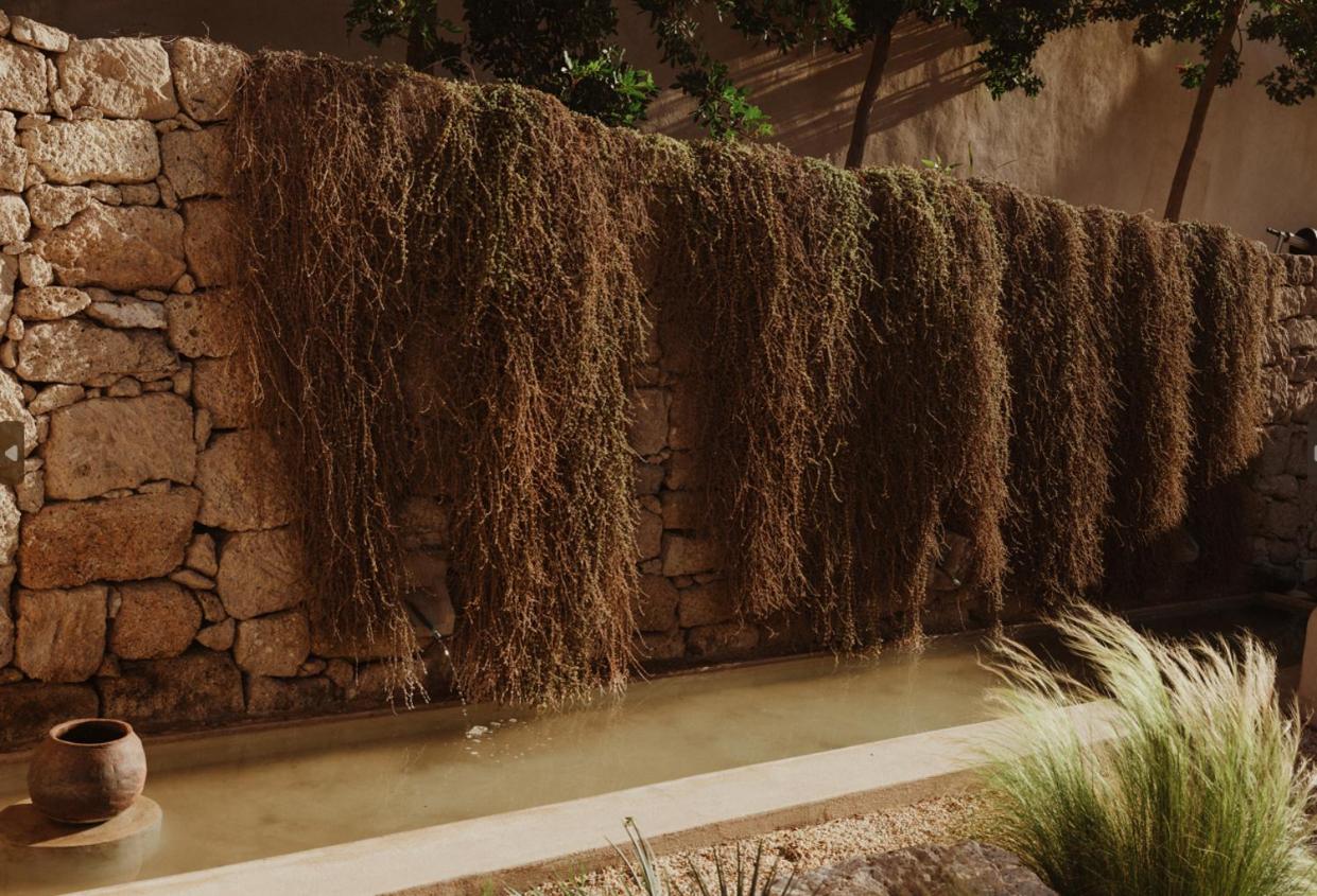 Ecohotel El Agua Arico el Nuevo Esterno foto
