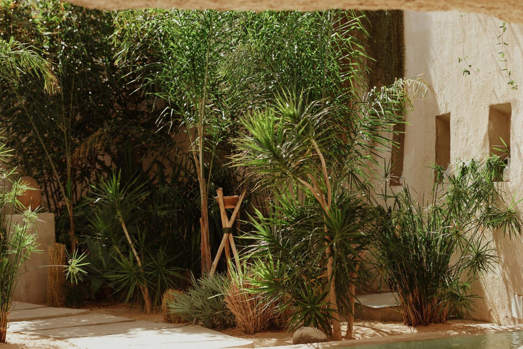 Ecohotel El Agua Arico el Nuevo Esterno foto